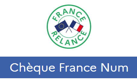 logo chèque France Num