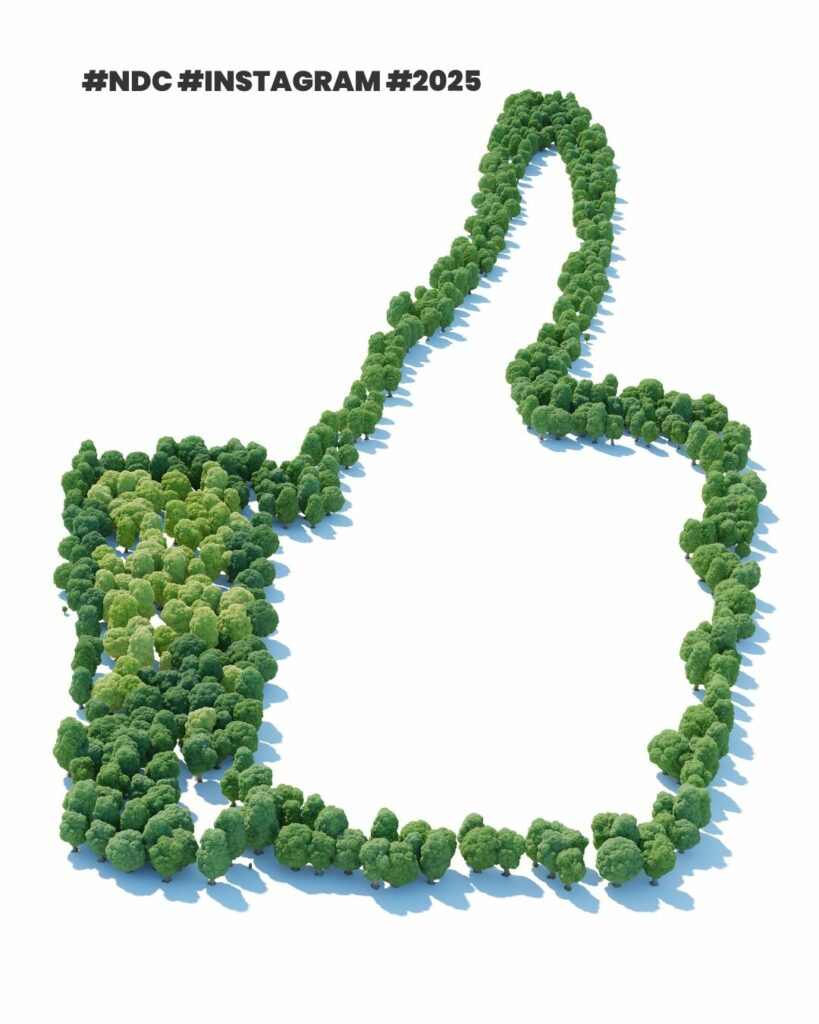 NDC - INSTA Stratégie Digitale Instagram 2025 Like interactions